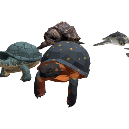 Turtle