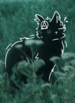 -Roleplayers Of Warrior Cats Ultimate Edition-