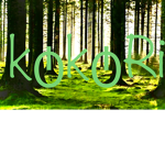 Kokori