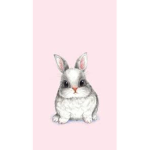 BunnyAndrus Gang