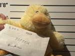 Baguette Ducks