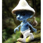 Mushroom smurf cat gang