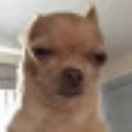 Dog Roblox decal