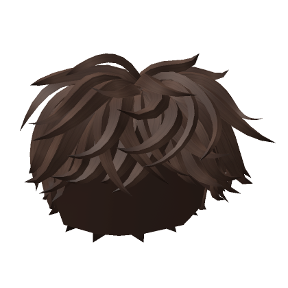 Roblox Item Brown Fluffy Messy Hair