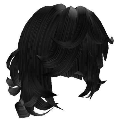 Black Fluffed Hair, Roblox Wiki