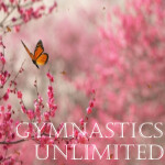 Gymnastic's Unlimited®