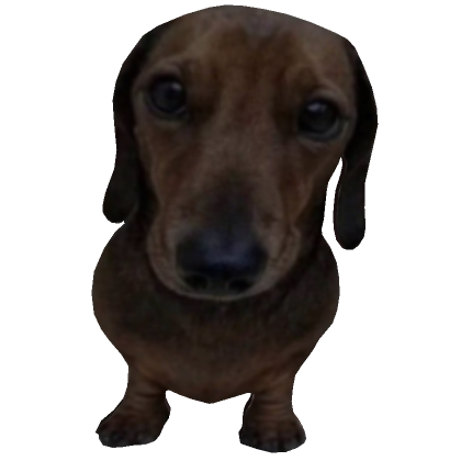 Roblox Item Dog