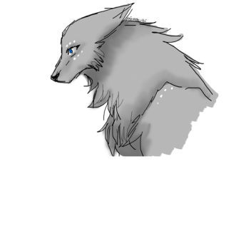 늑대 왕국! 🐺