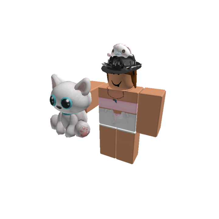 Roblox banner for @soft