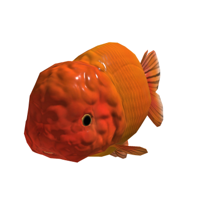 Ranchu Goldfish Head Orange - Dynamic Head