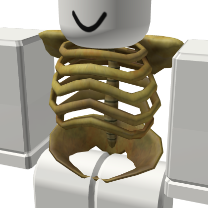Skeleton Torso