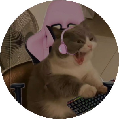 Pink Gaming Cat Matching PFP's Code & Price - RblxTrade