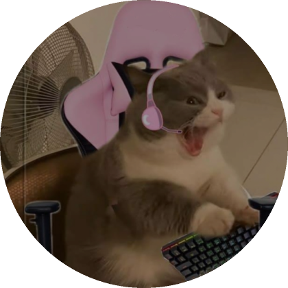 Gaming Cat Pfp