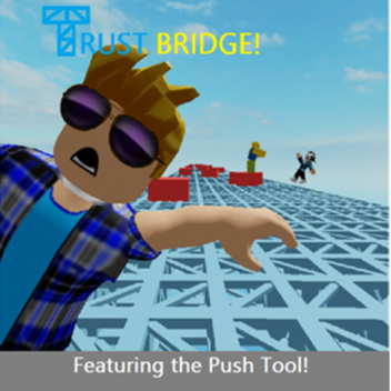 Trust Bridge!