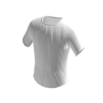 Roblox T Shirts Png - White In Roblox T Shirt, Transparent Png ,  Transparent Png Image - PNGitem