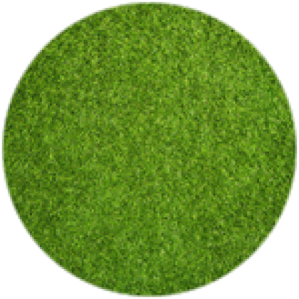 Touch grass - Roblox