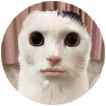 goofy ahh cat - Roblox