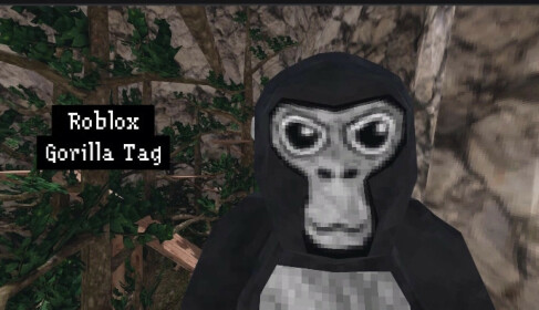 MAKING GORILLA TAG a ROBLOX ACCOUNT 