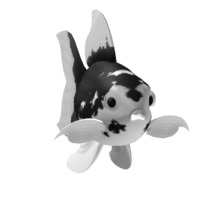 Black and white goldfish cheap