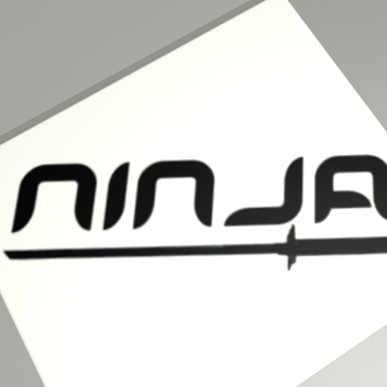 ninja animation test