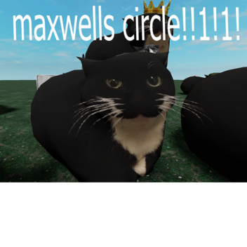 Maxwell-Kreis