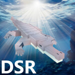 Project : DSR