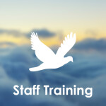 FlyVolotea | Staff Training