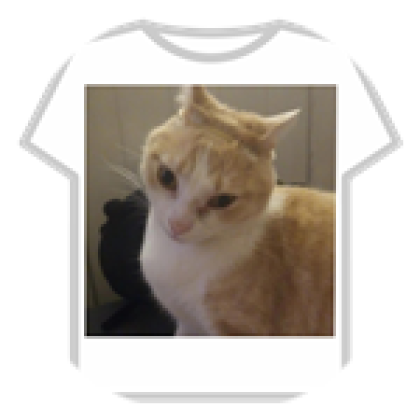 el roblox remera les GATOMELOGE143HF el roblox perfil : u/cachipacacal