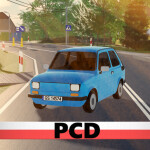 Polish Car Driving