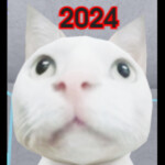 (2024 UPDATE) i'm cat MEOW MEOW MEOW