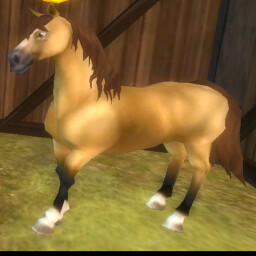 SSO (Star Stable Online) ON ROBLOX thumbnail