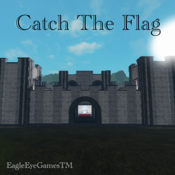 Catch The Flag!
