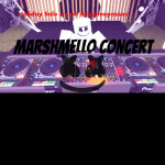 Marshmello Concert!