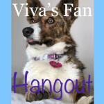 §Viva’s Fan Hangout§