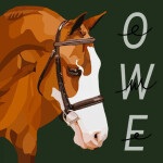 Oak Wood Equestrian (Pablo's back!)