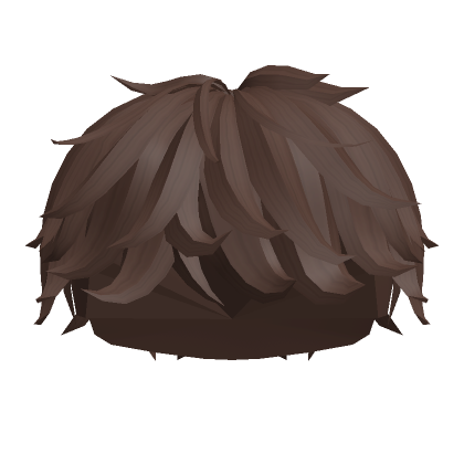 Brown Fluffy Messy Boy Hair