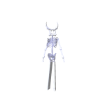 Super Thin Tall Skeleton