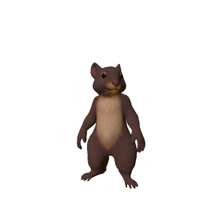 Squirrel