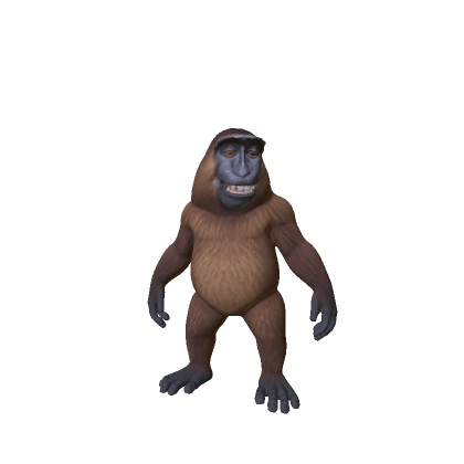 Little Smiling Monkey 🐵