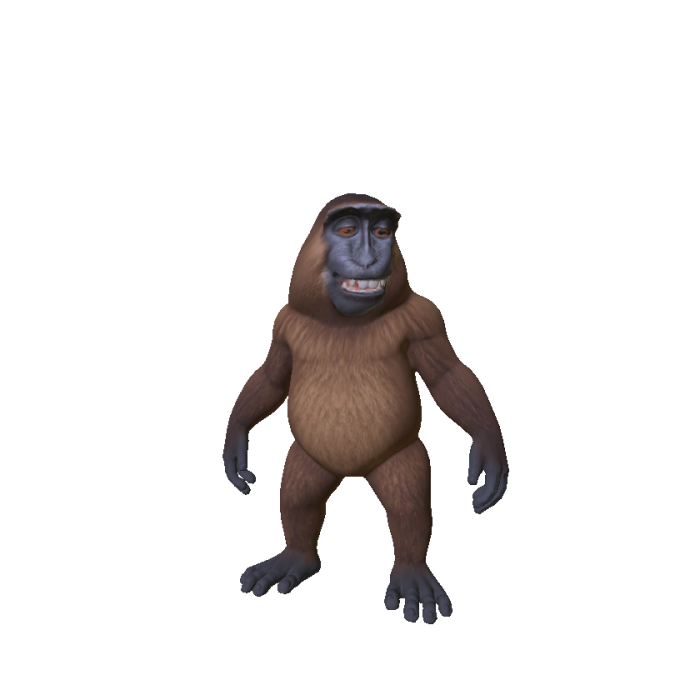 Little Smiling Monkey 🐵
