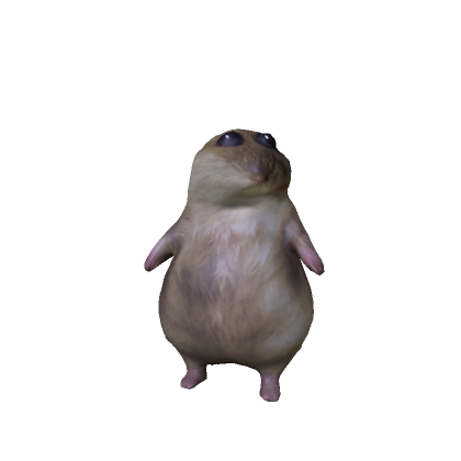 Sad Hamster
