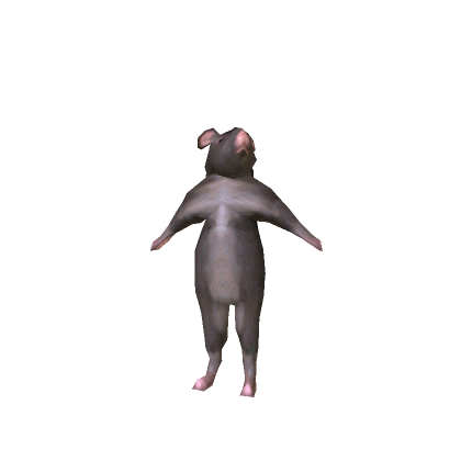 Dancing Rat Meme Bundle
