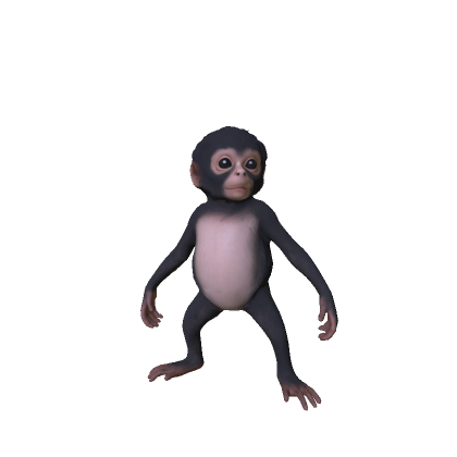 Baby Monkey thumbnail
