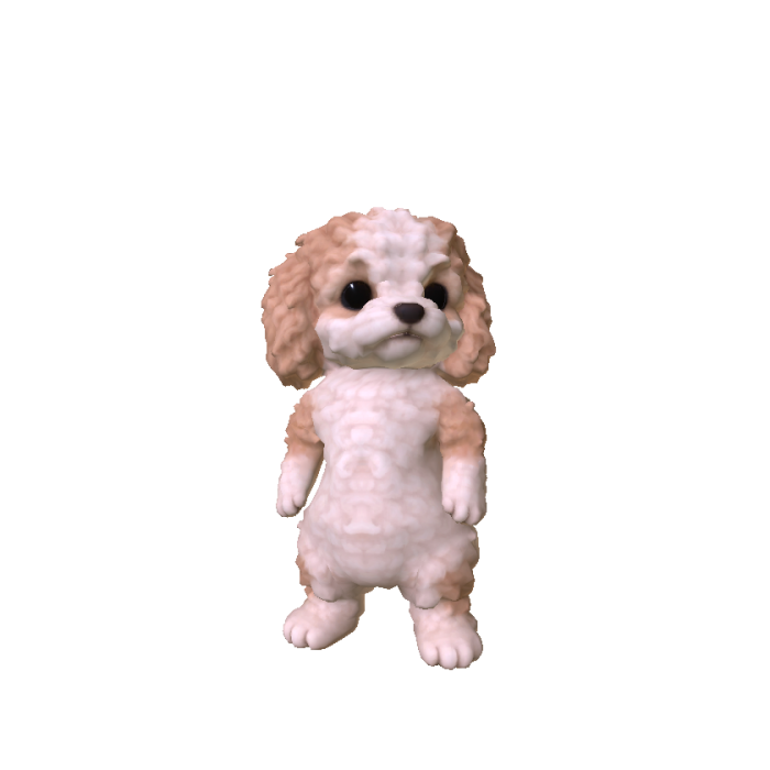 Little Poodle Puppy