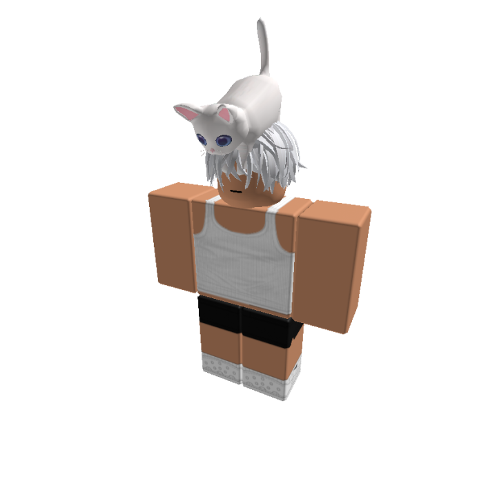 Roblox banner for @lifeguard
