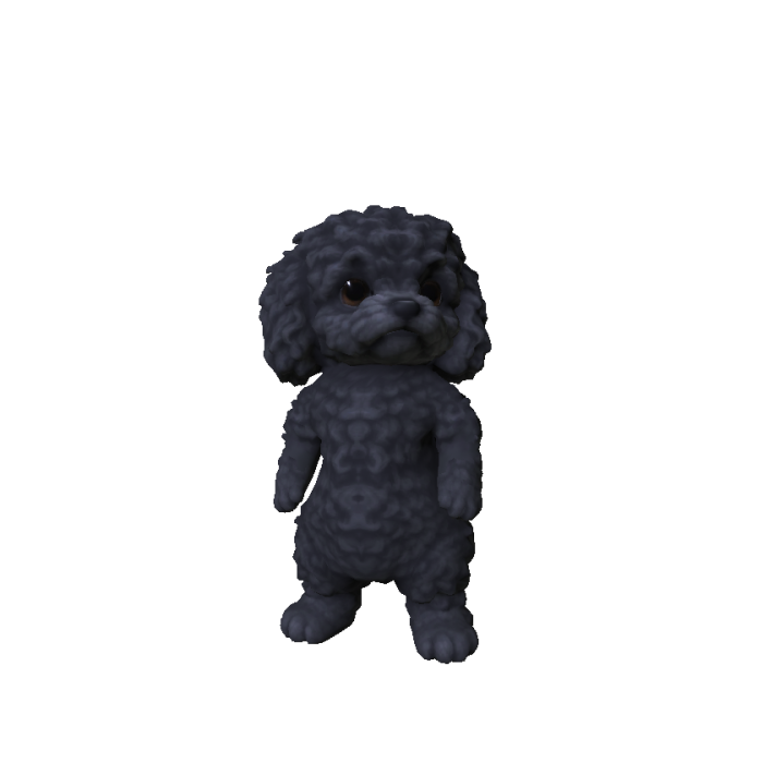 Little Poodle Puppy