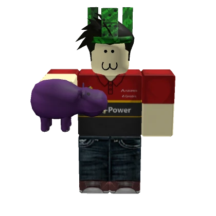 Falc0nSpace | Roblox Inventory History - Rolimon's