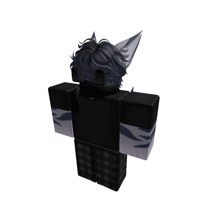 Roblox banner for @Lz_DBR