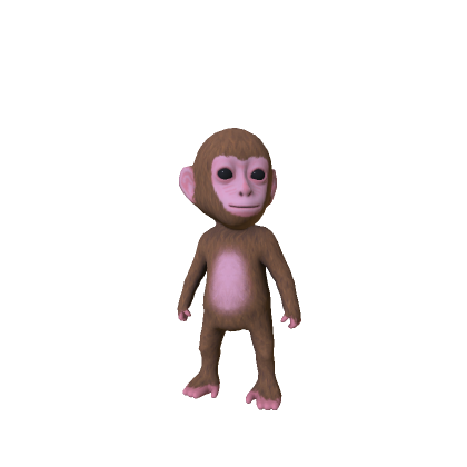 Baby Monkey