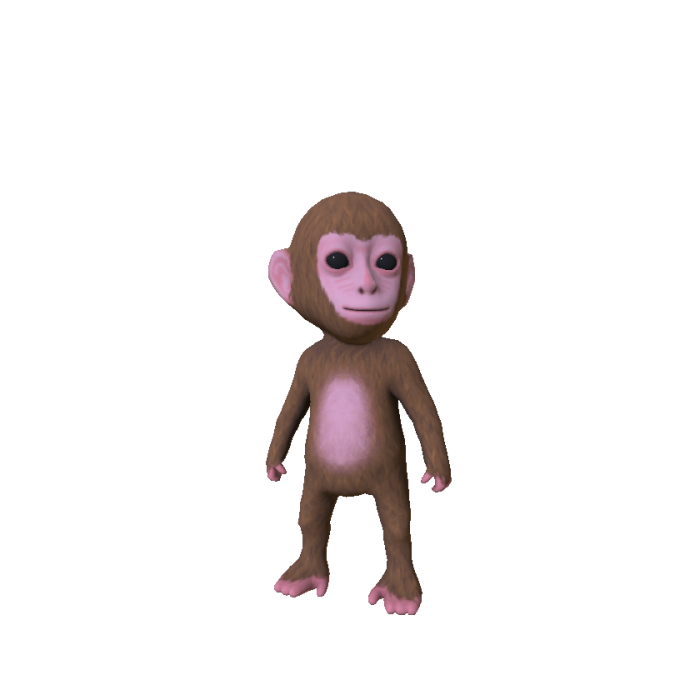 Baby Monkey